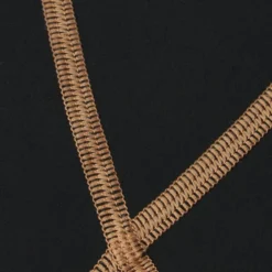 Speedo Boys Junior Lzr Racer X Jammer - Black Gold 13 Speedo Boys Junior Lzr Racer X Jammer - Black Gold