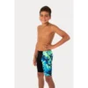 Speedo Boys Vibe II Jammer - Black Vibe Dream 2 Speedo Boys Vibe II Jammer - Black Vibe Dream